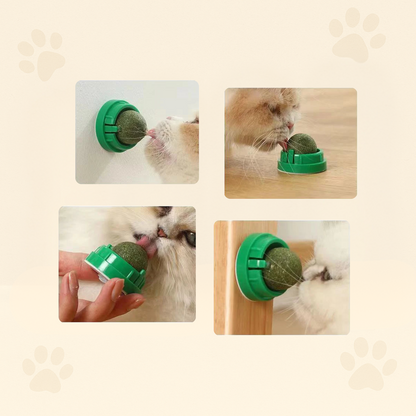 ROLLER BALL