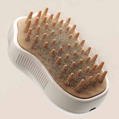 MINI SPA BRUSH